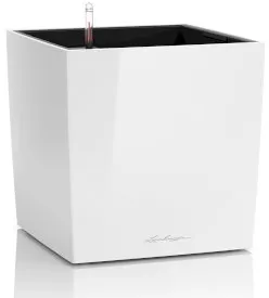 CUBE - Wit