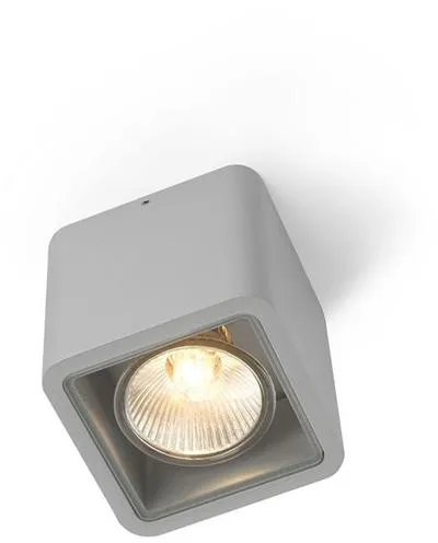 Trizo 21 Code 1 Buitenlamp Geanodiseerd